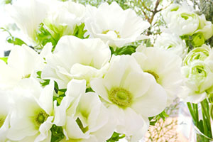 推しCP：白石景之×星野市香