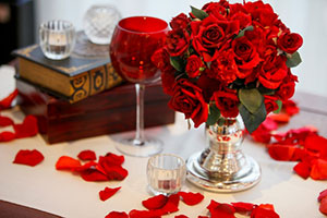 推しCP：シャイロック×真木晶（女）