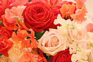 推しCP：桐ケ谷晃×朝日奈唯