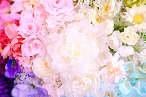 浜松：シルフ芸術アカデミー