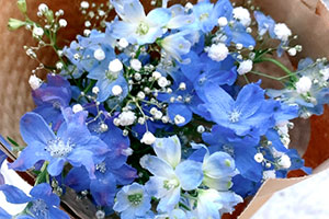 推しCP：九条朔夜×朝日奈唯